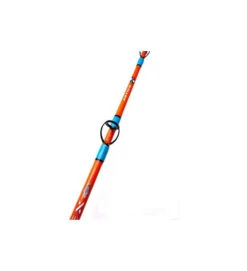 ARTICO CANNA DENTEX MONOFUSTO 2.05MT 8lbs -Pesca Perfetta Sconti artico canna dentex monofusto 205mt 8lbs 3