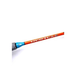 ARTICO CANNA DENTEX MONOFUSTO 2.05MT 8lbs -Pesca Perfetta Sconti artico canna dentex monofusto 205mt 8lbs 4