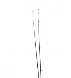 ARTICO CIMA PER DIVINA 70 CM