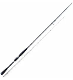 CANNA EGING FALCON YOUNG CAPTAIN