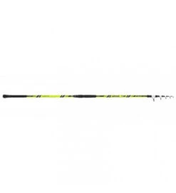 CANNA TUBERTINI IONIC TLS 4.20 160GR