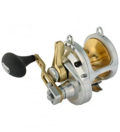 SHIMANO MULINELLO TALICA -Pesca Perfetta Sconti shimano mulinello talica 2